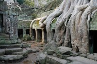 Ta Prohm