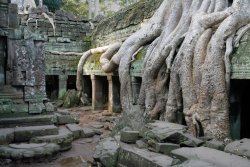 Ta Prohm