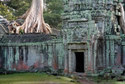 Ta Prohm