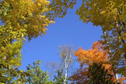 Gatineau Park, Ottawa