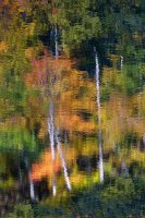 Gatineau Park, Ottawa