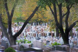 Mont Royal Cemetary