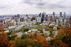 Montreal from Mont Royal