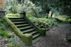 Garden Steps