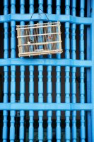 Window Grille, Trinidad