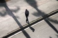 Morning Shadows, Havana