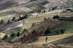 Landscape, Latacunga Loop