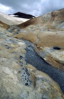 Mudpools east of crater Viti