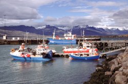 Breiddalsvik harbour 