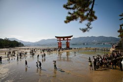 Miyajima Island
