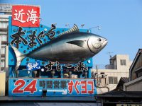 Tokyo fish market