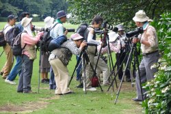 Photo club outing, Tokyo