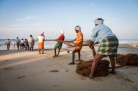 Net fishing, Varkala