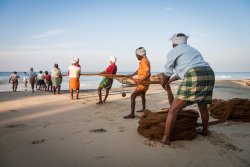 Net fishing, Varkala