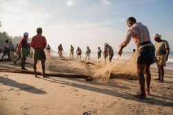 Net fishing, Varkala
