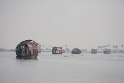 Houseboats, Backwaters