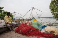 Fishing at Kochi