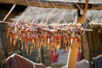 Sun-dried frogs