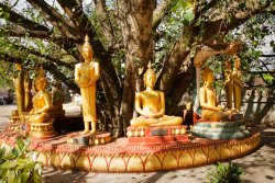 That Louang festival