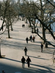 The Waterloo Embankment