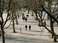 The Waterloo Embankment
