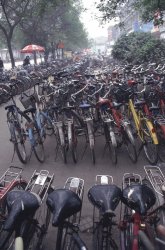 Bicycle Park, Xian