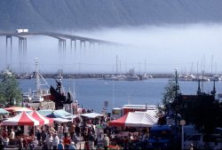 Tromso market & bridge