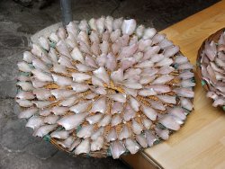 Fish - Haeundae market