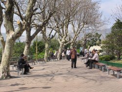 Mt Yongdu Park, Busan