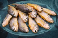  Fishmarket - Busan.jpg