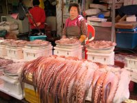 Octopus, Busan Market