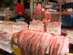Octopus, Busan Market