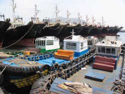 Fishing boats, Busan Harbour