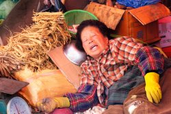 Siesta - Busan Market