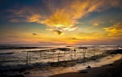 Stilt fishing, Weligama