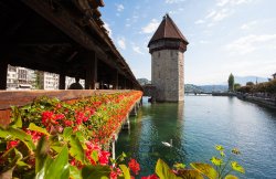 Lucerne