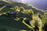 Sunrise, Loetchental