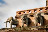 Wat Chedi Luang