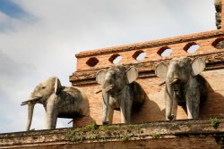 Wat Chedi Luang