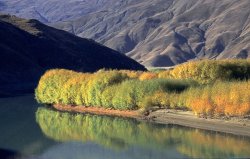 Yarlung Tsangpo River
