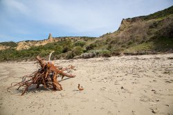 Anzac Cove, Gallipoli