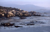 17 Mile Drive, Monterey