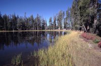 Lake, Yosemite