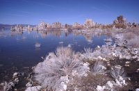 Mono Lake