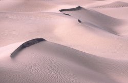 Sand Dunes, Death Valley