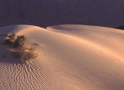Sand Dunes, Death Valley