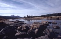 Tuolomne Meadow