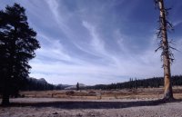 Tuolomne Meadow