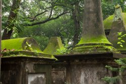 South Park cemetery, Kolkata